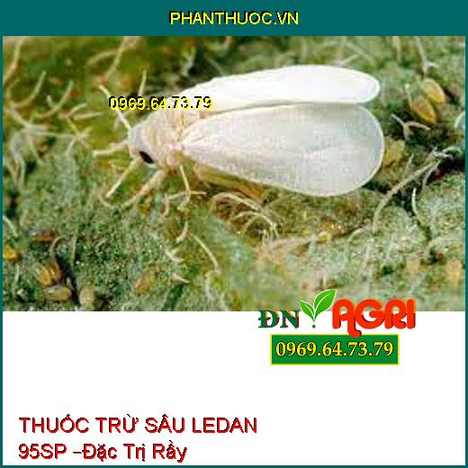 THUỐC TRỪ SÂU LEDAN 95SP –Đặc Trị Sâu Đục Thân Trên Lúa, Sâu Rầy Kháng Thuốc