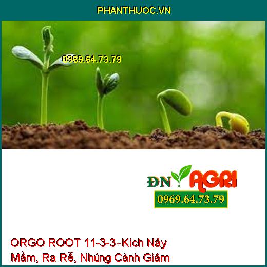 ORGO ROOT 11-3-3 –Kích Nảy Mầm, Ra Rễ, Nhúng Cành Giâm, Tăng Đậu Trái