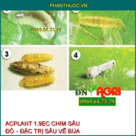 THUỐC TRỪ SÂU ACPLANT 1.9EC CHIM SÂU ĐỎ – Đặc Trị Sâu Vẽ Bùa, Sâu Phao Đục Bẹ, Bọ Trĩ Rầy Nâu