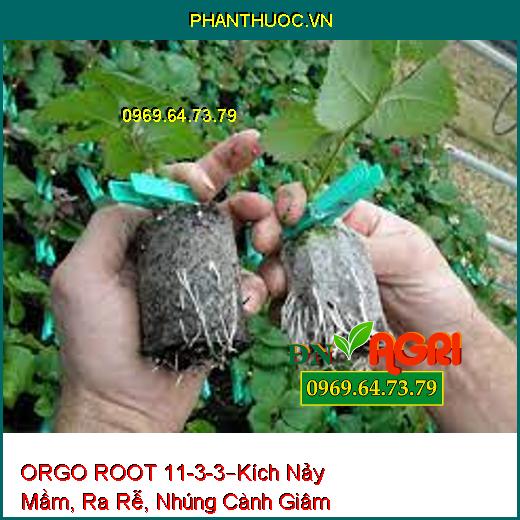 ORGO ROOT 11-3-3 –Kích Nảy Mầm, Ra Rễ, Nhúng Cành Giâm, Tăng Đậu Trái