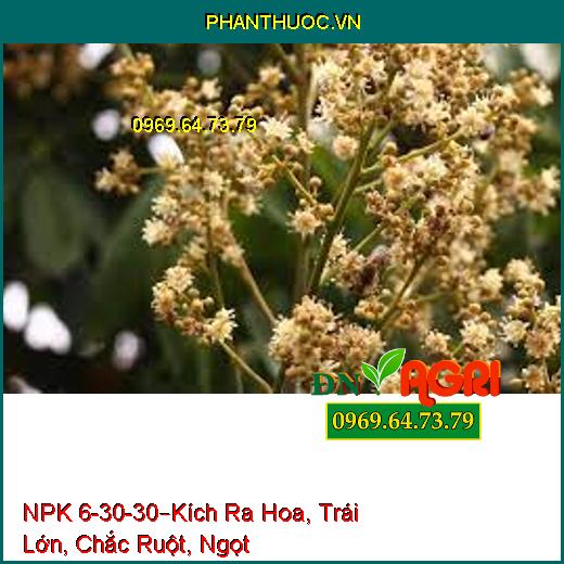 (PHÂN BÓN NPK 6-30-30 – Kích Ra Hoa, Ra Hoa Đồng Loạt, Trái Lớn Nhanh, Chắc Ruột Nặng Ký, Ngọt Trái, Lên cơm)