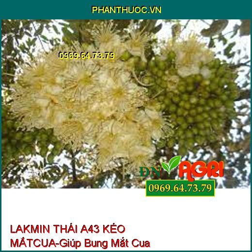 LAKMIN THÁI A43 KÉO MẮT CUA –Giúp Bung Mắt Cua, Ra Hoa Đồng Loạt ,Hạn Chế Đi Đọt