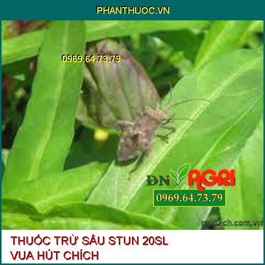 THUỐC TRỪ SÂU STUN 20SL VUA HÚT CHÍCH – Đặc Trị Rầy Mềm, Muỗi Hành, Ruồi Vàng, Bọ Trĩ, Các Côn Trùng Hút Chích