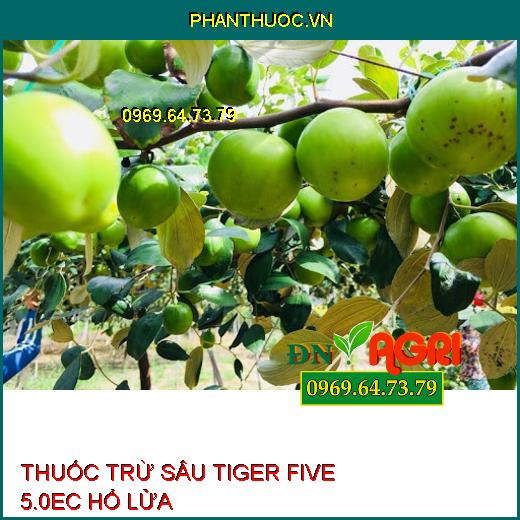 THUỐC TRỪ SÂU TIGER FIVE 5.0EC HỔ LỬA – Đặc Trị Sâu Vẽ Bùa, Sâu Xanh Da Láng, Ruồi Vàng, Rầy Xanh, Bọ Xít Muỗi, Bọ Trĩ, Nhện Đỏ