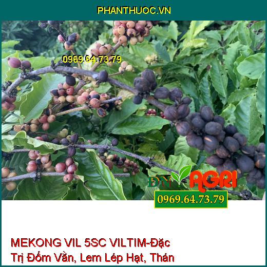 MEKONG VIL 5SC VILTIM-Đặc Trị Đốm Vằn , Lem Lép Hạt, Thán Thư, Nấm Hồng