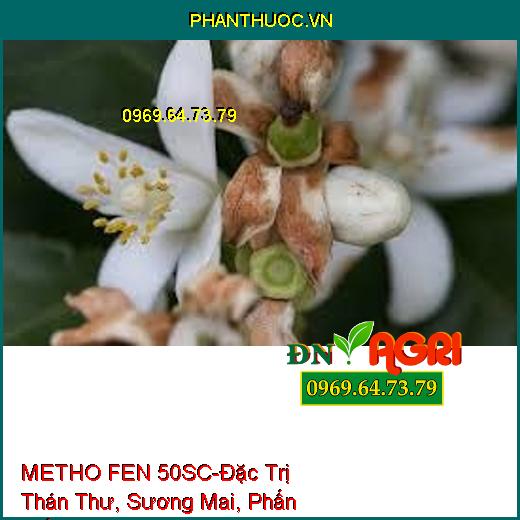 THUỐC TRỪ BỆNH METHO FEN 50SC-Đặc Trị Thán Thư, Sương Mai, Phấn Trắng, Vàng Lá