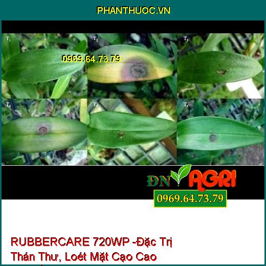 THUỐC TRỪ BỆNH RUBBERCARE 720WP -Đặc Trị Thán Thư, Loét Mặt Cạo Cao Su, Đốm Lá