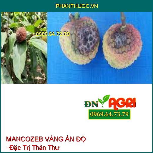 MANCOZEB VÀNG ẤN ĐỘ –Đặc Trị Thán Thư, Các Loài Bệnh Hại Cây Trồng