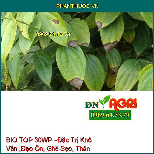 THUỐC TRỪ BỆNH SINH HỌC BIO TOP 30WP –Đặc Trị Khô Vằn ,Đạo Ôn, Ghẻ Sẹo, Thán Thư