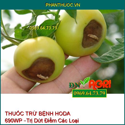 THUỐC TRỪ BỆNH HODA 690WP –Trị Dứt Điểm Các Loại Nấm, Sương Mai, Thối Nhũn