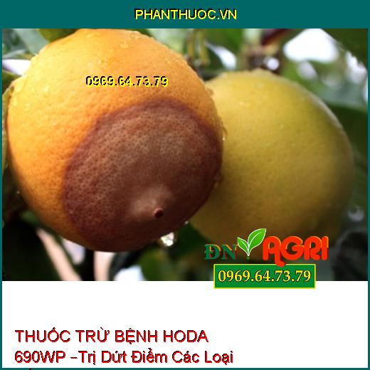 THUỐC TRỪ BỆNH HODA 690WP –Trị Dứt Điểm Các Loại Nấm, Sương Mai, Thối Nhũn