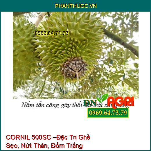 THUỐC TRỪ BỆNH CORNIL 500SC –Đặc Trị Ghẻ Sẹo, Nứt Thân, Đốm Trắng, Thán Thư