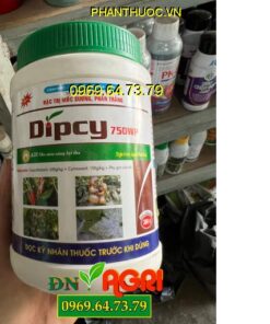 THUỐC TRỪ BỆNH DIPCY 750WP – Đặc Trị Mốc Sương, Phấn Trắng Gây Hại Trên Hoa Hồng