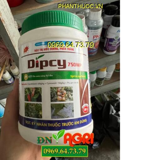 THUỐC TRỪ BỆNH DIPCY 750WP – Đặc Trị Mốc Sương, Phấn Trắng Gây Hại Trên Hoa Hồng