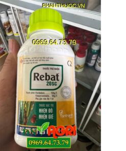 THUỐC TRỪ BỆNH REBAT 20SC – Đặc Trị Nhện Gié, Nhện Đỏ, Bọ Xít Muỗi