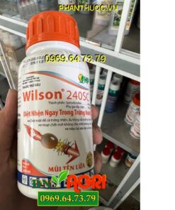 THUỐC TRỪ SÂU WILSON 240SC MŨI TÊN LỬA – Đặc Trị Nhện Đỏ Trên Cây Có Múi