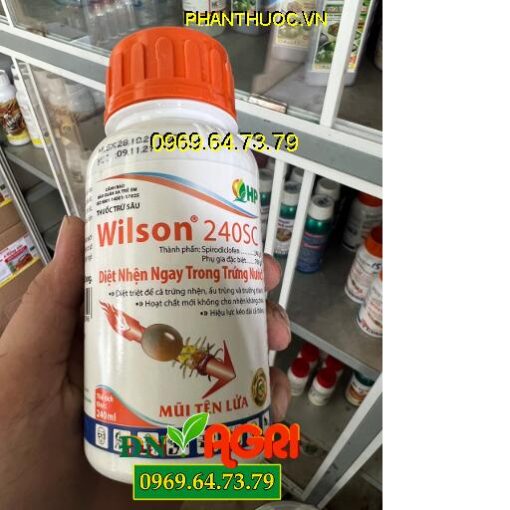 THUỐC TRỪ SÂU WILSON 240SC MŨI TÊN LỬA – Đặc Trị Nhện Đỏ Trên Cây Có Múi