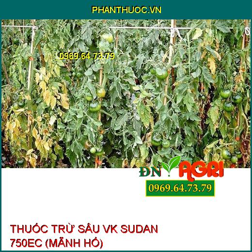 THUỐC TRỪ SÂU VK SUDAN 750EC (MÃNH HỔ) – Đặc Trị Sâu Cuốn Lá, Nhện Gié, Rầy Nâu Hại Lúa, Sâu Xanh Da Láng Hại Đậu Tương