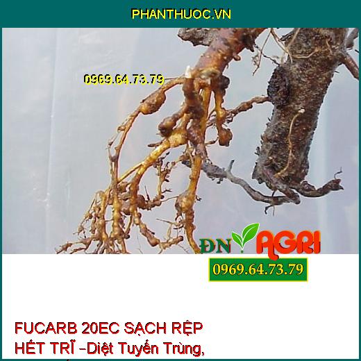 THUỐC TRỪ SÂU FUCARB 20EC SẠCH RỆP HẾT TRĨ –Diệt Tuyến Trùng, Sùng Đất, Rầy Nâu