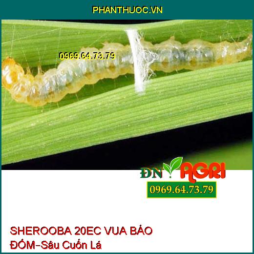 SHEROOBA 20EC VUA BÁO ĐỐM – Sâu Cuốn Lá, Sâu Tơ, Sâu Khoang, Sâu Xanh, Nhện Đỏ