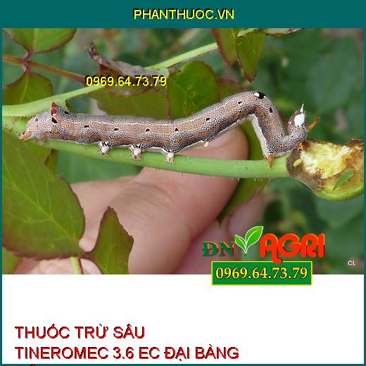 THUỐC TRỪ SÂU TINEROMEC 3.6 EC ĐẠI BÀNG MỸ – Sâu Cuốn Lá, Sâu Đục Thân, Sâu Đo, Bọ Trĩ