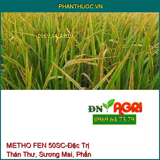 THUỐC TRỪ BỆNH METHO FEN 50SC-Đặc Trị Thán Thư, Sương Mai, Phấn Trắng, Vàng Lá