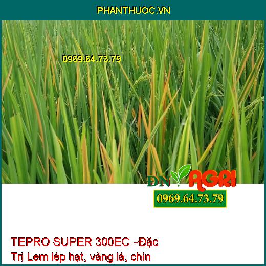 THUỐC TRỪ BỆNH HỢP TRÍ TEPRO SUPER 300EC –Đặc Trị Lem lép hạt, vàng lá, chín sớm