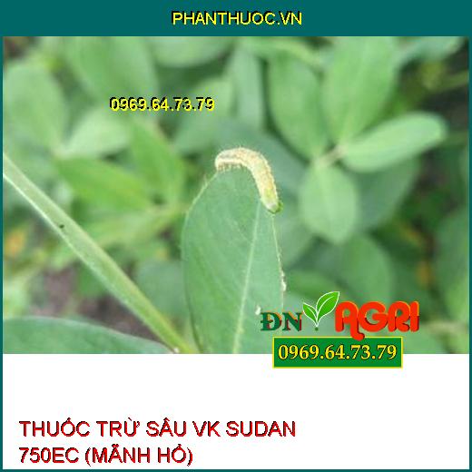 THUỐC TRỪ SÂU VK SUDAN 750EC (MÃNH HỔ) – Đặc Trị Sâu Cuốn Lá, Nhện Gié, Rầy Nâu Hại Lúa, Sâu Xanh Da Láng Hại Đậu Tương