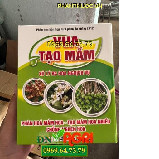 VUA TẠO MẦM – Phân Hóa Mầm Hoa, Tạo Mầm, Chống Nghẹn Hoa, Xử Lý Ra Hoa Nghịch Vụ