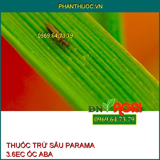 THUỐC TRỪ SÂU PARAMA 3.6EC ỐC ABA – Đặc Trị Bọ Trĩ, Nhện Gié, Rầy Nâu, Sâu Cuốn Lá