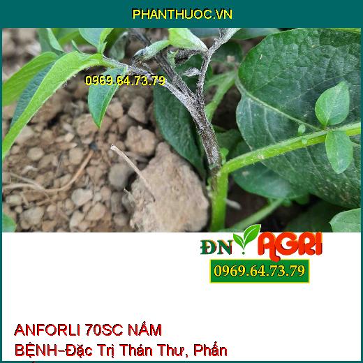 ANFORLI 70SC NẤM BỆNH–Đặc Trị Thán Thư, Phấn Trắng, Đạo Ôn, Lem Lép Hạt, Ghẻ Sẹo