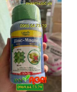 MAGNE KẼM MAGIE LAKMIN ZINC MAGNE – Giúp Xanh Lá, Dày Lá, Chống Xoắn Đọt Non