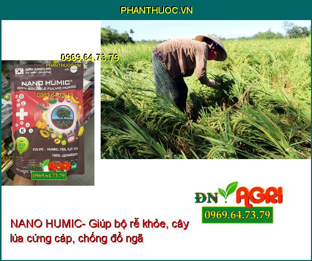 NANO HUMIC- Xanh Lá Dày Lá-Ra Rễ Mạnh-Tăng Thụ Phấn-Chống Rụng Hoa,Trái Non