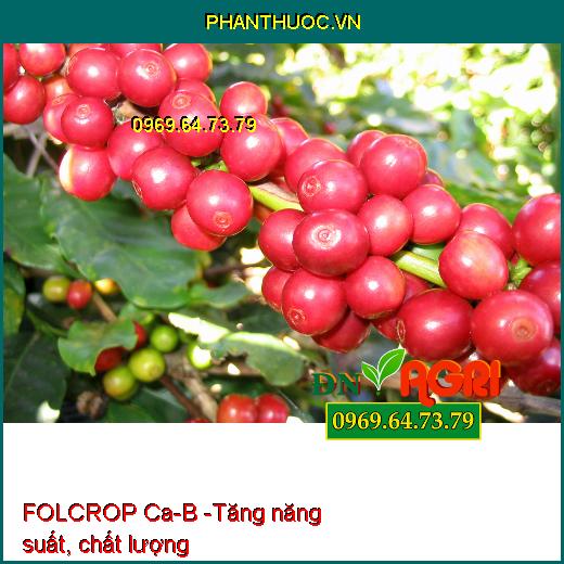 FOLCROP Ca-B - CHỐNG NỨT TRÁI, THỐI TRÁI, KHÁNG KHUẨN, KÍCH THÍCH RA HOA