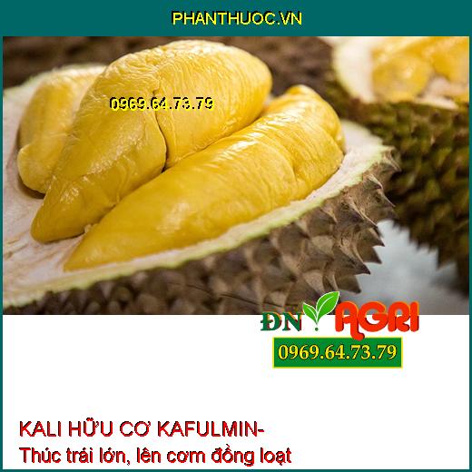 KALI HỮU CƠ KAFULMIN- Đẹp Trái, Nặng Ký, Thơm Ngon