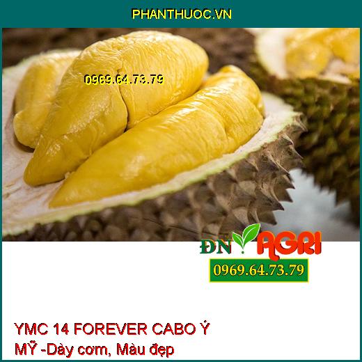 YMC 14 FOREVER CABO Ý MỸ - Tăng Đậu Hoa, Đậu Trái, Chống Nứt Trái, Thối Đít Trái Cho Cây Sầu Riêng