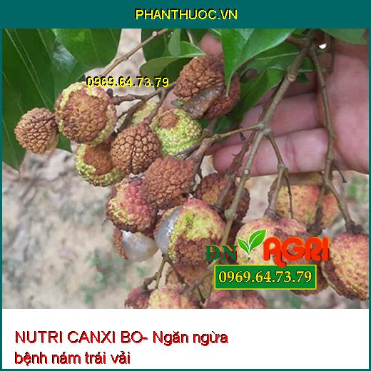 NUTRI CANXI BO- Chống Nứt Trái- Mập Đọt- Cứng Cây- Chống Rụng Trái Non