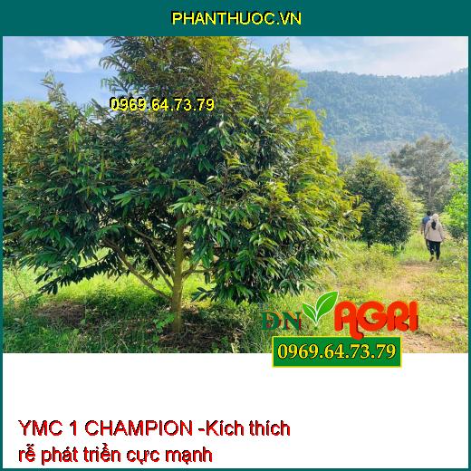 YMC 1 CHAMPION SIÊU VỌT ĐỌT CHUYÊN SẦU RIÊNG - Kích Rễ, Cây Đâm Đọt, Xanh Lá