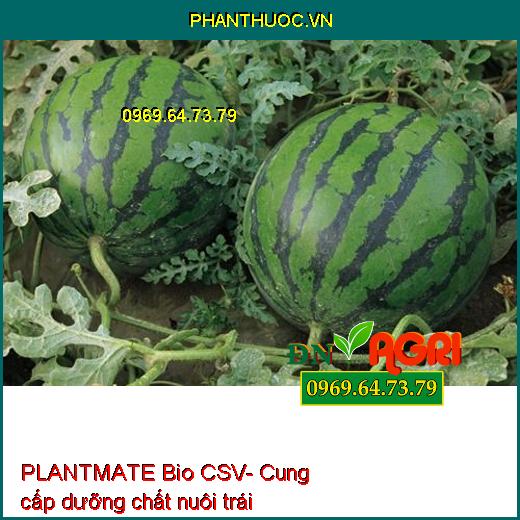 PLANTMATE Bio CSV- Đâm Chồi- Bung Đọt- Ra Hoa Đồng Loạt- Nuôi Quả