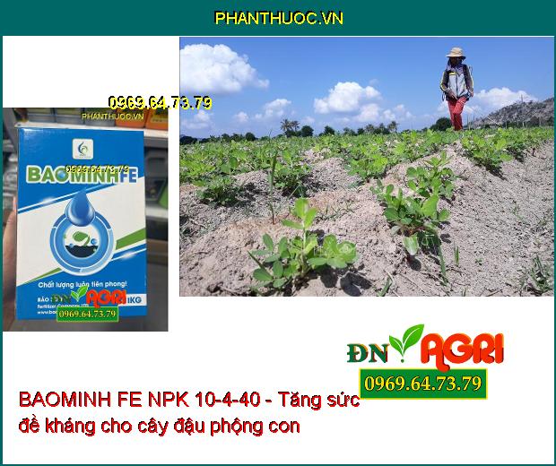 BAOMINH FE NPK 10-4-40 Kích Ra Hoa Đồng Loạt- Lớn Trái- Phát Triển Cực Mạnh