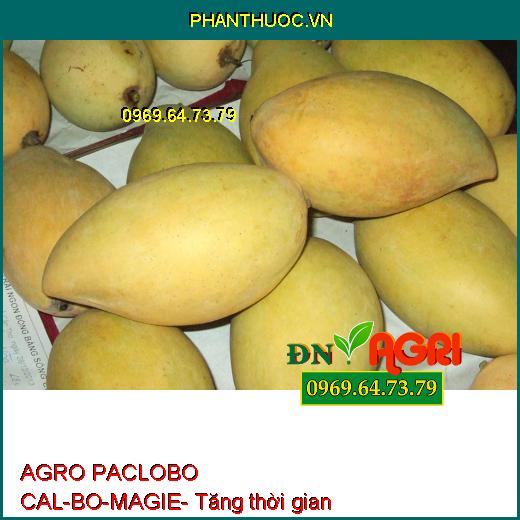 AGRO PACLOBO CAL-BO-MAGIE- Hạn Chế Rụng Trái, Tăng Thụ Phấn, Chống Nứt, Méo Trái