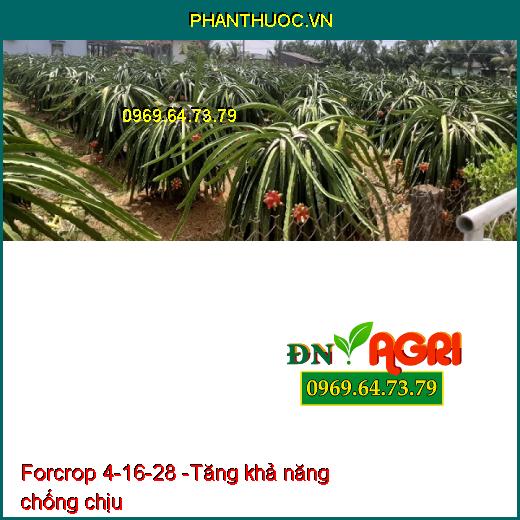 Forcrop 4-16-28 - Phân Bón Nhập Khẩu Cao Cấp - Giúp trái chín đều, đặc ruột, nặng ký, lên màu, đẹp trái