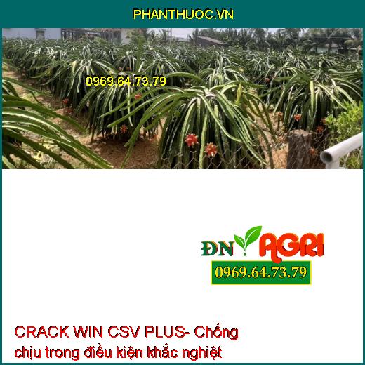 PHÂN BÓN LÁ TRUNG VI LƯỢNG CRACK WIN CSV PLUS- To Quả, Đẹp Màu, Tăng Năng Suất