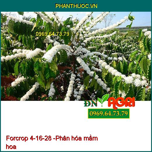 Forcrop 4-16-28 - Phân Bón Nhập Khẩu Cao Cấp - Giúp trái chín đều, đặc ruột, nặng ký, lên màu, đẹp trái