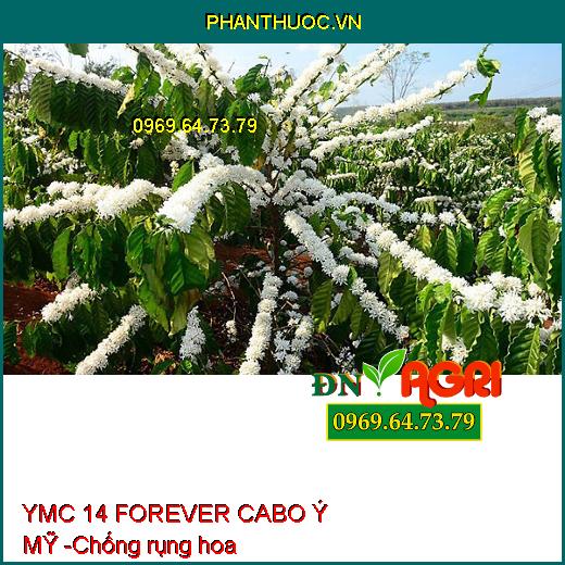 YMC 14 FOREVER CABO Ý MỸ - Tăng Đậu Hoa, Đậu Trái, Chống Nứt Trái, Thối Đít Trái Cho Cây Sầu Riêng
