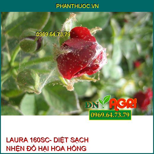 THUỐC TRỪ SÂU LAURA 160SC- DIỆT SẠCH NHỆN ĐỎ, NHỆN VÀNG, NHỆN TRẮNG