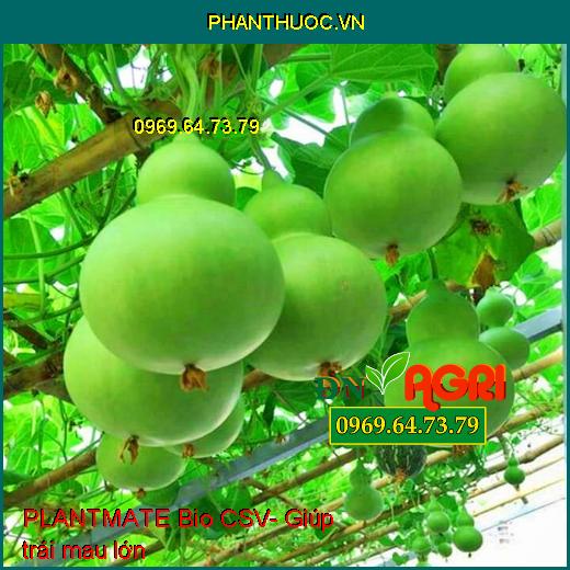 PLANTMATE Bio CSV- Đâm Chồi- Bung Đọt- Ra Hoa Đồng Loạt- Nuôi Quả