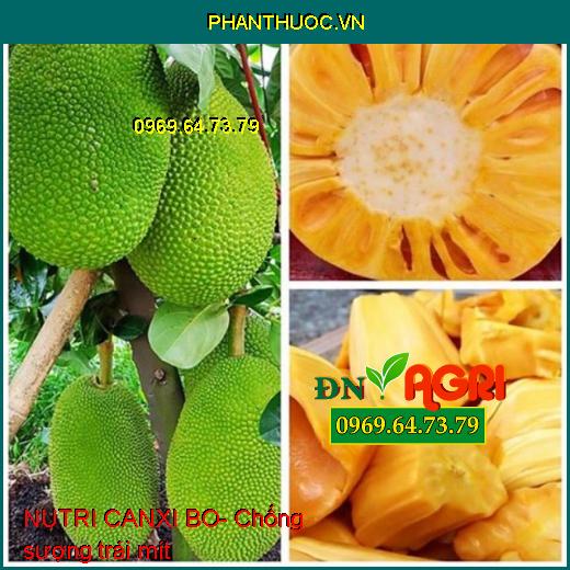 NUTRI CANXI BO- Chống Nứt Trái- Mập Đọt- Cứng Cây- Chống Rụng Trái Non