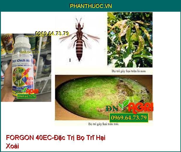 THUỐC TRỪ SÂU FORGON 40EC DIỆT CHÍCH HÚT - Đặc Trị Rầy, Rệp, Ruồi Vàng, Bướm, Bọ Trĩ, Sâu Cuốn Lá