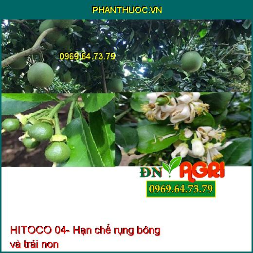 AV EUROMAX NPK 3-3-12 HITOCO 04- Lớn Trái Thần Tốc, Đẹp Trái, Nặng Ký, Múi To